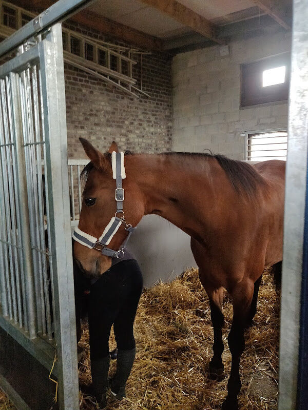 Foto van beautifulbalance bunsbeek