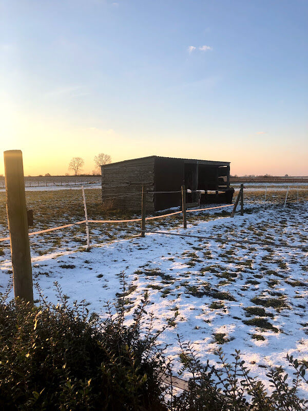 Foto van cavaleronde