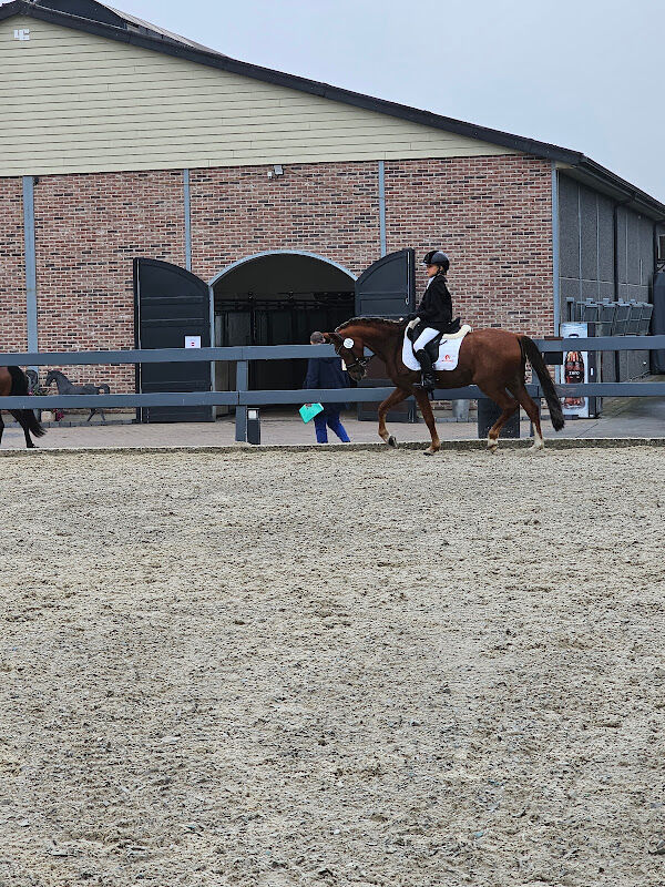 Foto van Cool Horses