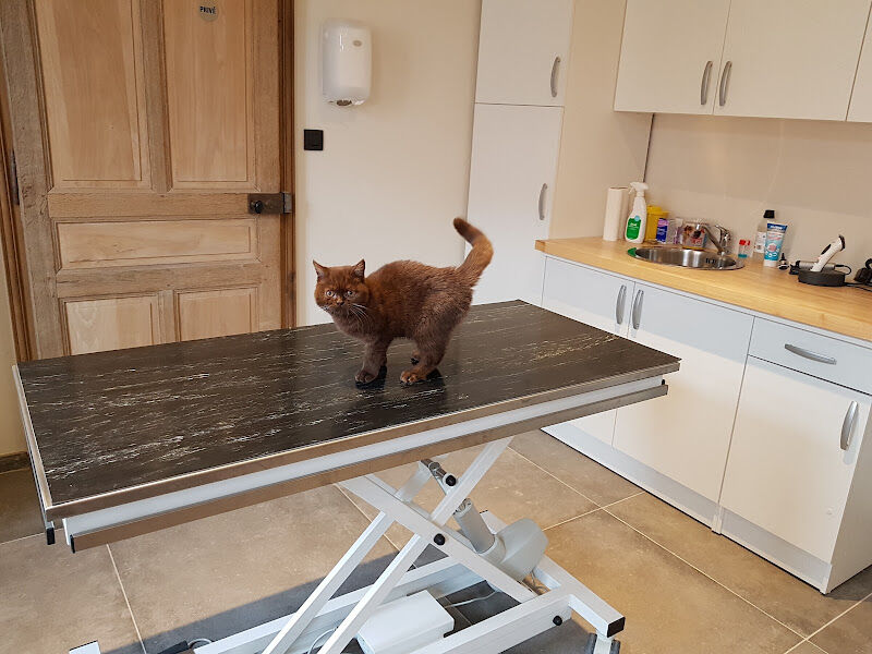 Foto van Dierenarts Van Bouchaute Jolien