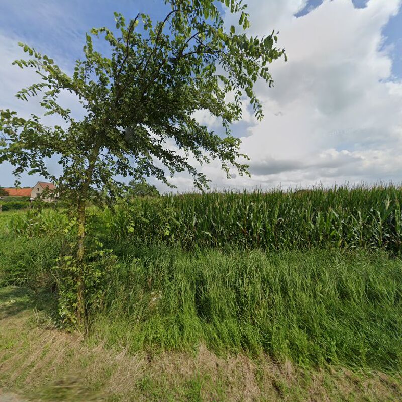 Foto van Paardenfokkerij Stragier