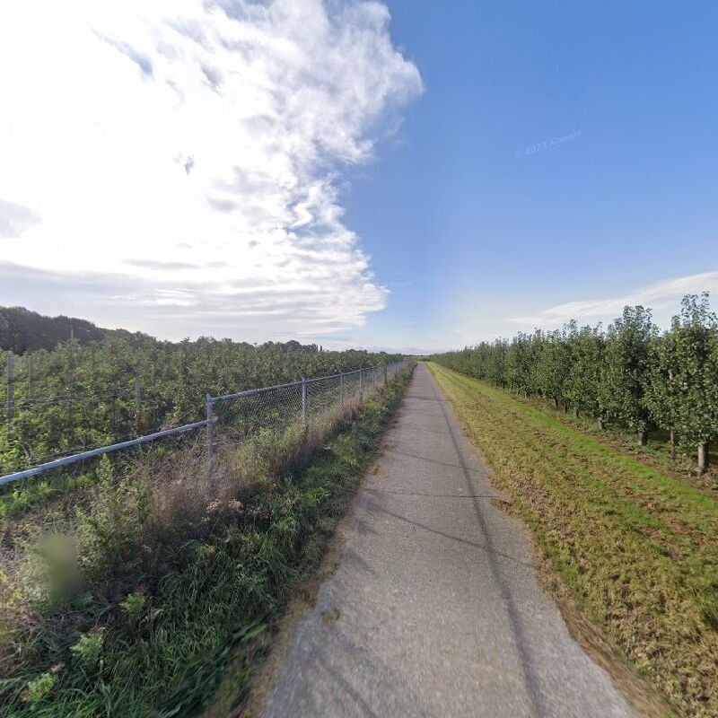 Foto van Frietjes bij Mattes