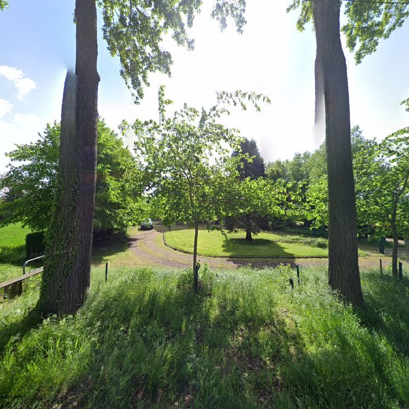 Foto van Advocaat Arvid De Smet