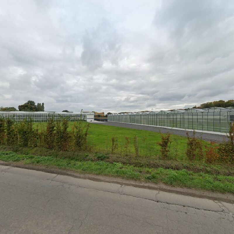 Foto van bernard hillaert bvba