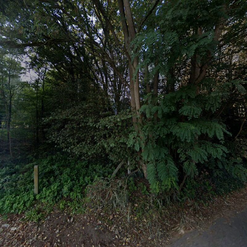 Foto van Vander Laenen Willy