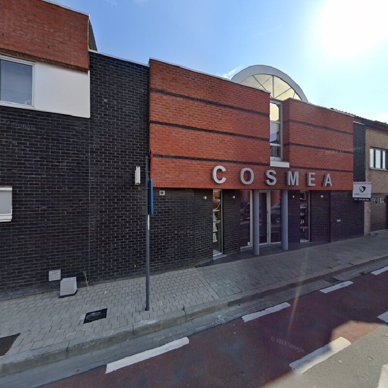 Foto van Cosmea