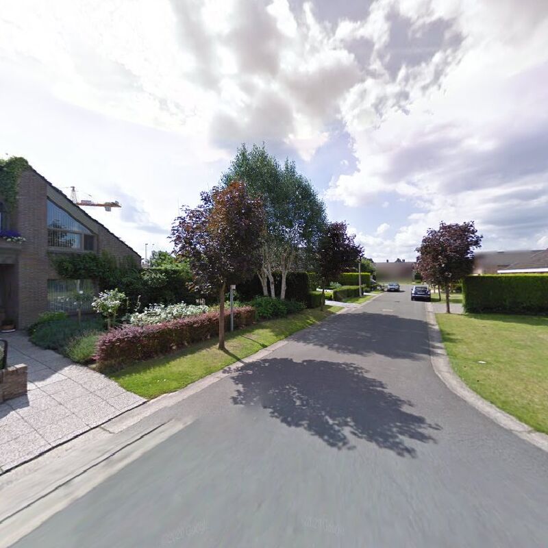 Foto van Desloovere Johan