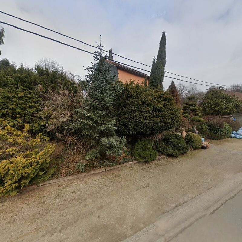 Foto van Algemene tuinaanleg