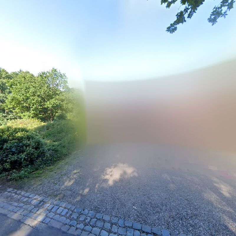 Foto van De Wiekslag