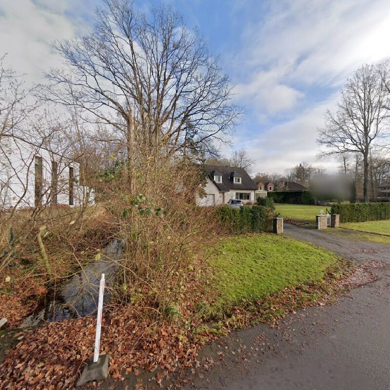 Foto van Green Butterfly Bvba