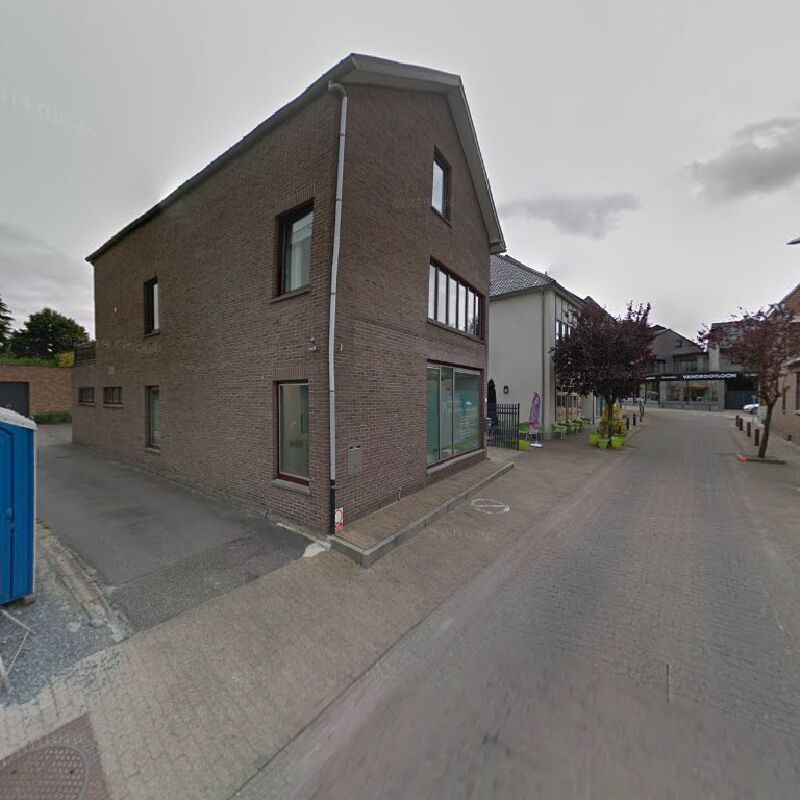 Foto van Dokter Immle Delvaux