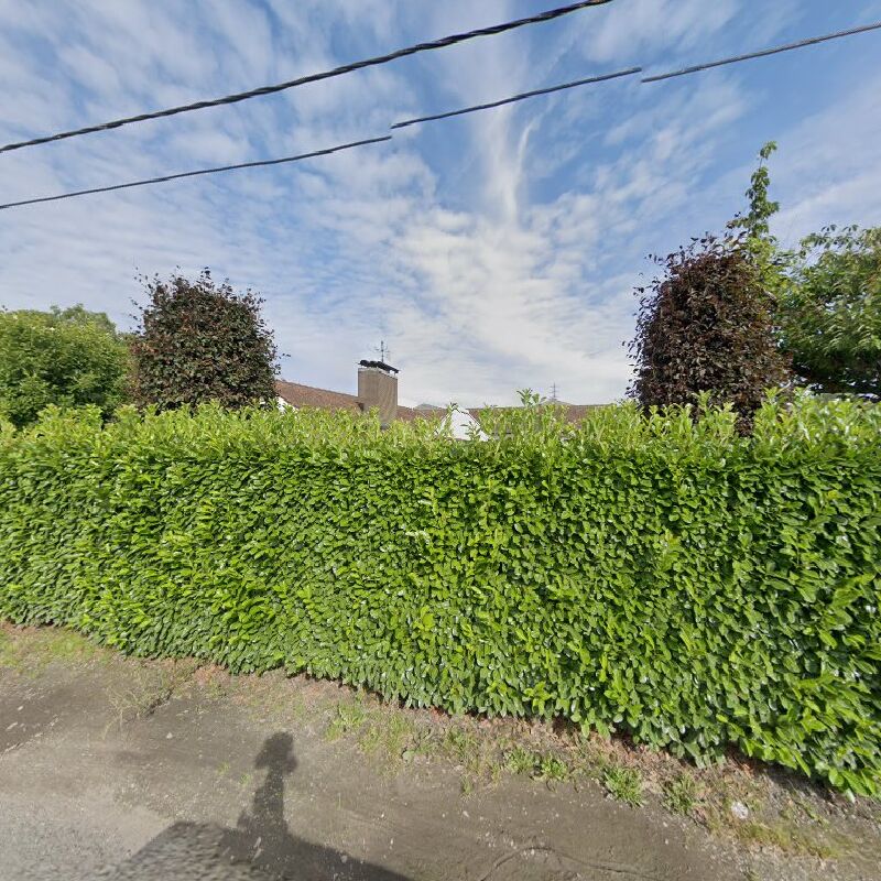 Foto van Taxi Hendriks Gent nv