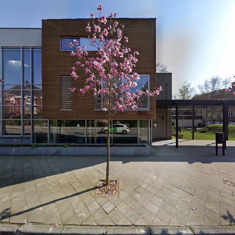 Foto van Little Ponies