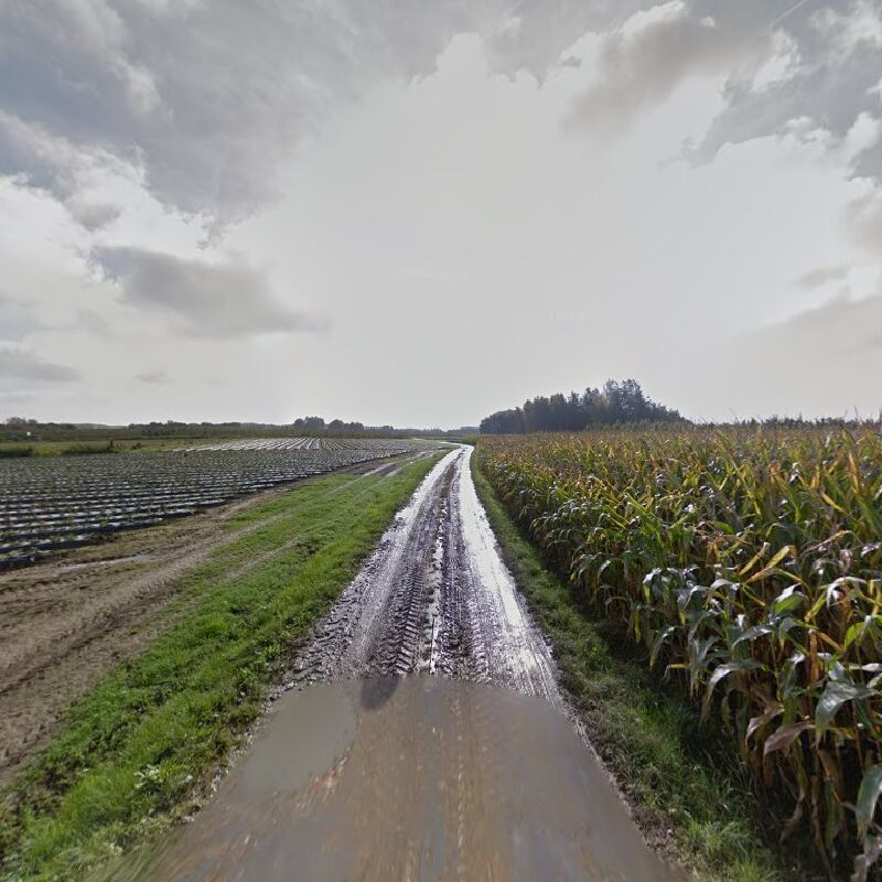 Foto van Lut Schaubroeck