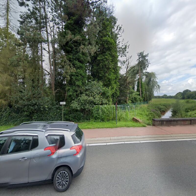 Foto van Felenpastel