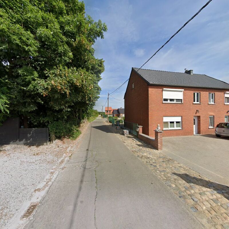 Foto van Alles rond groen