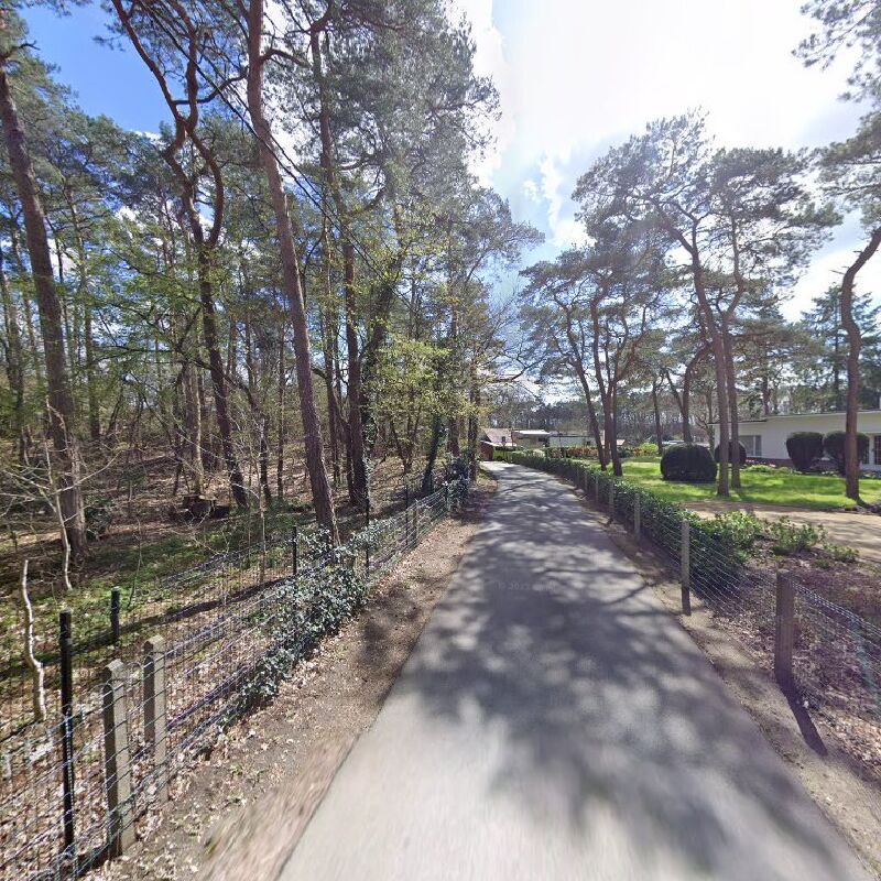 Foto van Van Rillaer Patrick