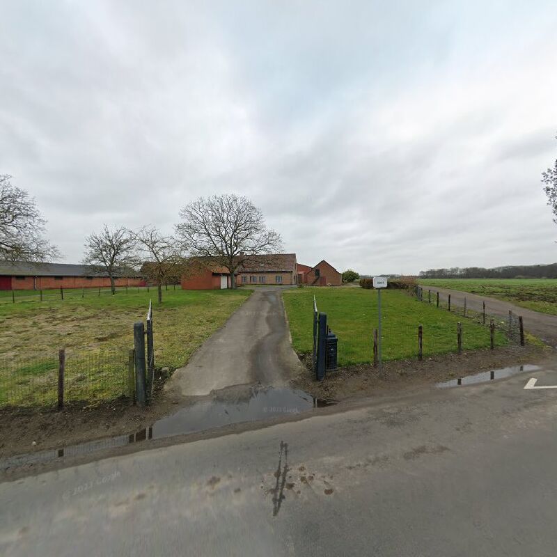 Foto van Willems Filip