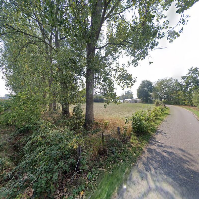 Foto van Prenten / Jocelyn