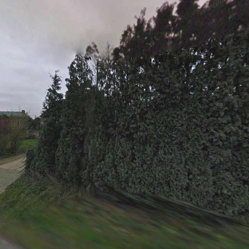 Foto van Dr. Maarten Lambrecht