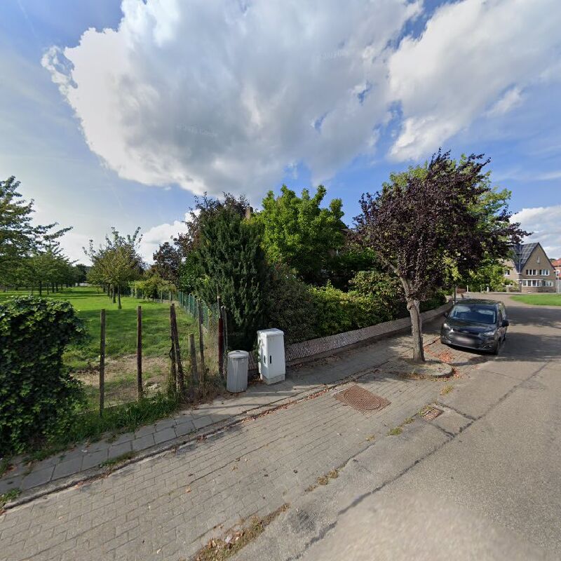 Foto van Knops / Lieve