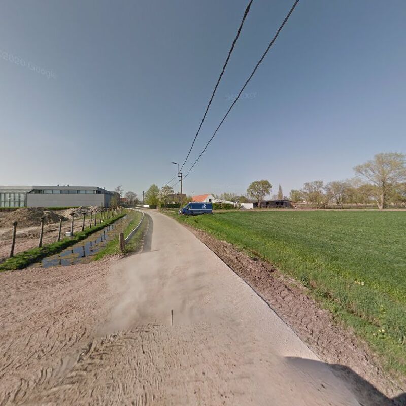 Foto van Schepens Martin René Julia