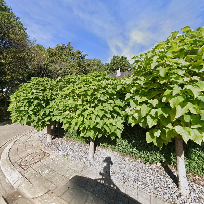 Foto van Van Bael Benny