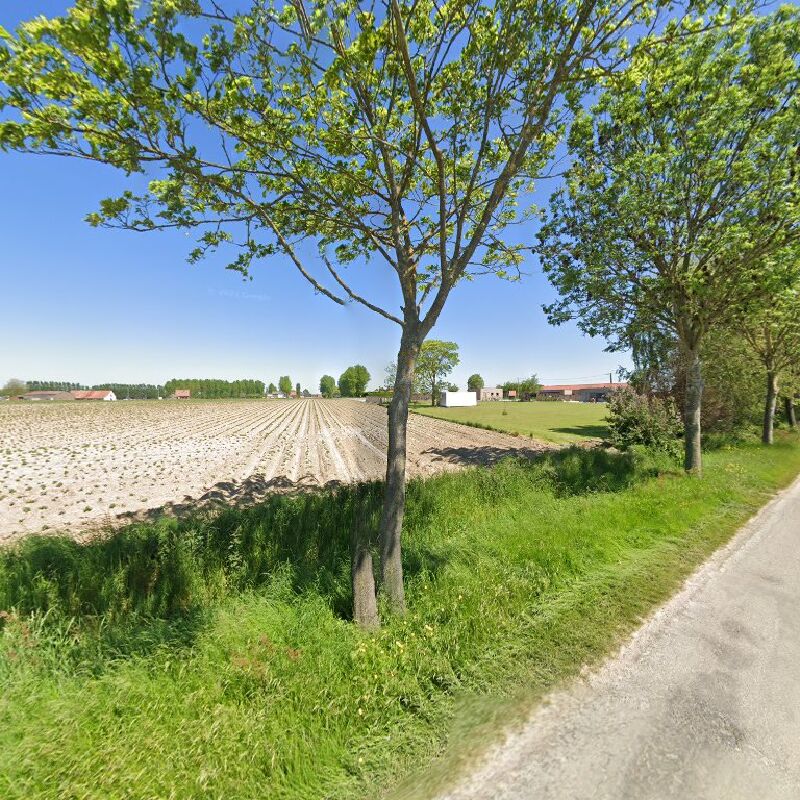 Foto van Decock Robin RDpaints