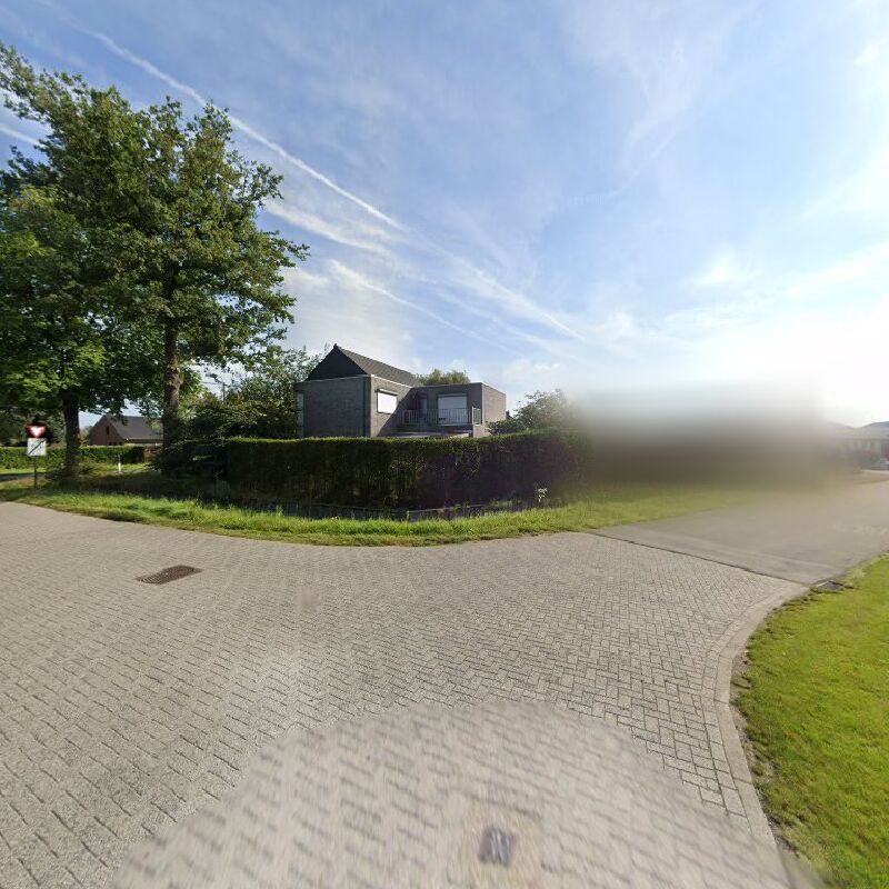 Foto van Goris L. Plafoneringswerken