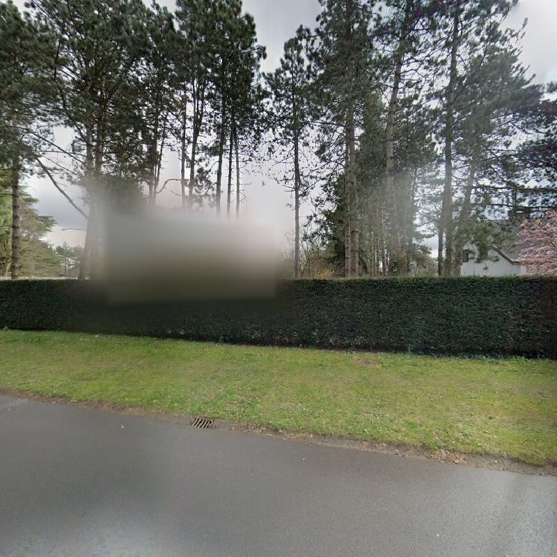 Foto van Chicken Run