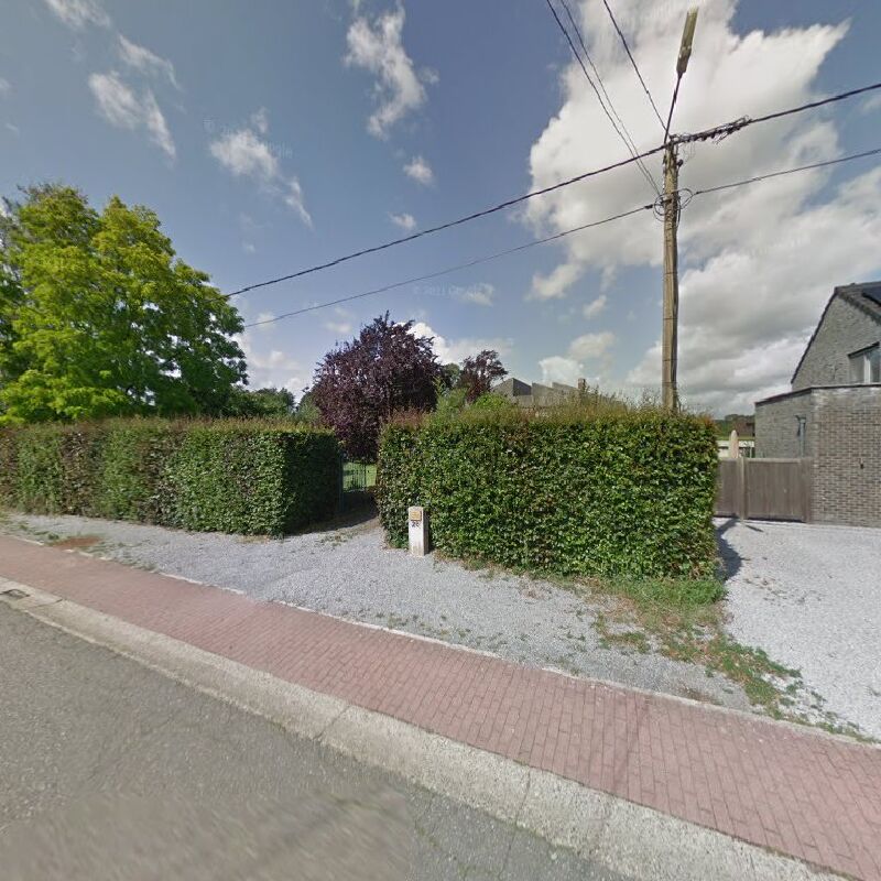 Foto van Timmermans C.