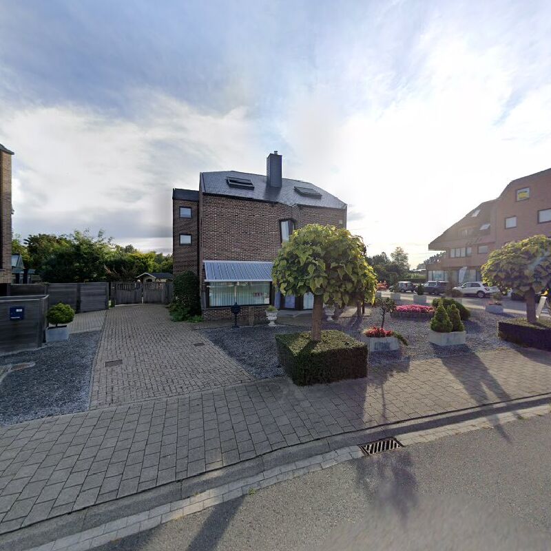 Foto van Bloemen Edelweiss